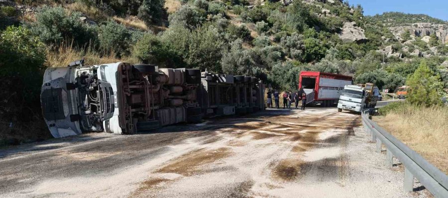 Mersin’de Büyükbaş Hayvan Yüklü Tır Devrildi: Çok Sayıda Hayvan Telef Oldu