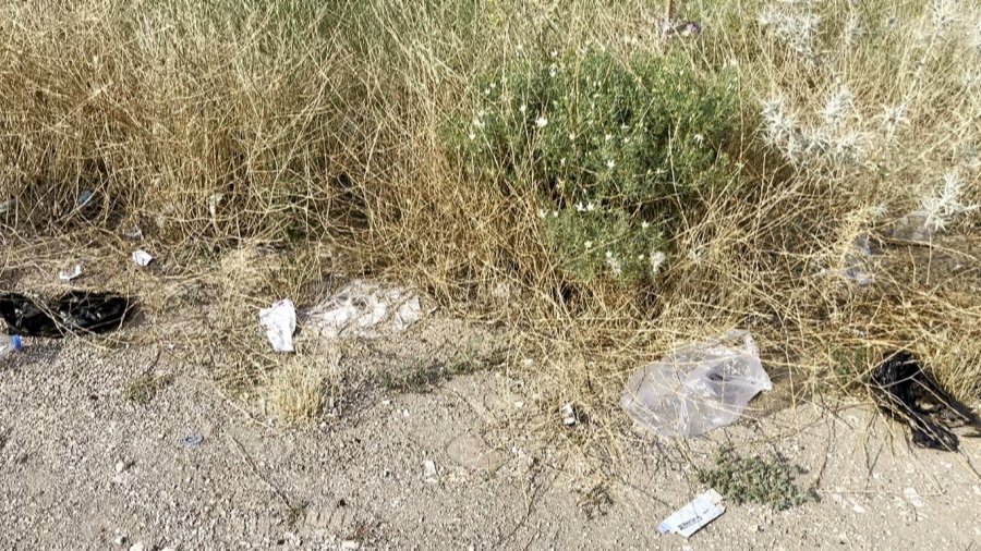 Boş Çöp Konteynerinin Etrafının Atıklarla Kaplandığını Gören Profesörden Sert Tepki