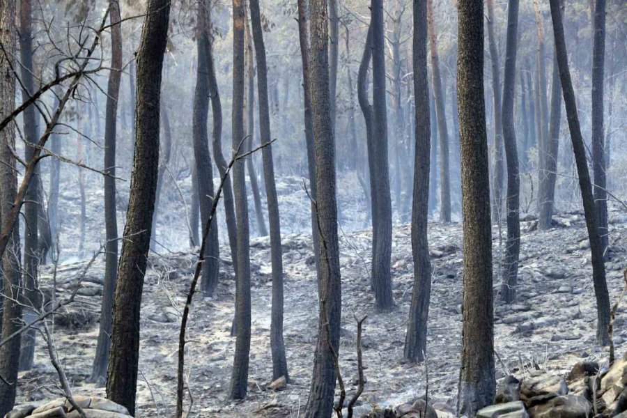 Kumluca’daki Orman Yangınında 10 Ev Kullanılamaz Hale Geldi: Yangına Evinde Yakalananlar O Anları Anlattı