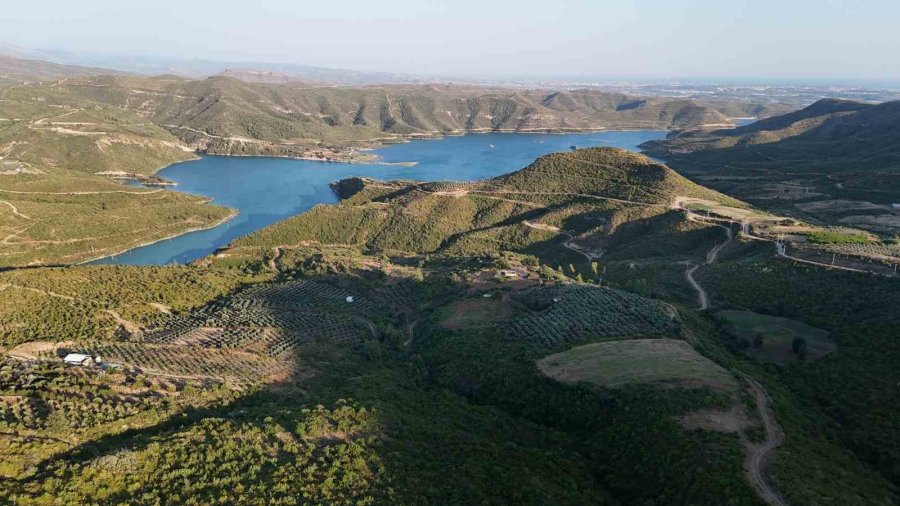 Manavgat Yangınının 5. Yılında Yangını Yaşayanlar Anlattı: "devletten Büyüğü Yok"