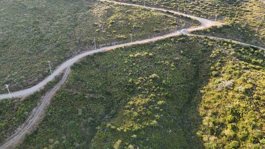 Manavgat Yangınının 5. Yılında Yangını Yaşayanlar Anlattı: "devletten Büyüğü Yok"