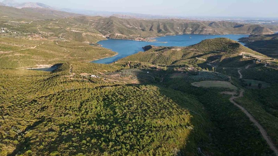 Manavgat Yangınının 5. Yılında Yangını Yaşayanlar Anlattı: "devletten Büyüğü Yok"