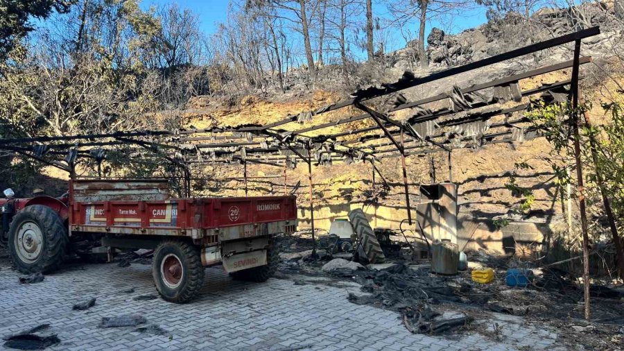 Alanya’da Orman Yangını Muz Seralarına Sıçradı: 17 Hektarlık Alan Zarar Gördü