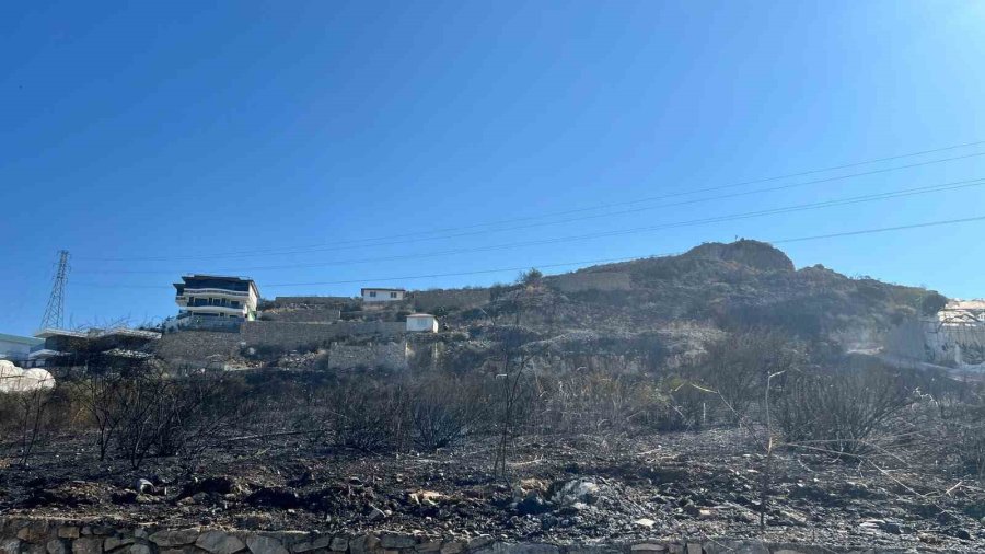 Alanya’da Orman Yangını Muz Seralarına Sıçradı: 17 Hektarlık Alan Zarar Gördü