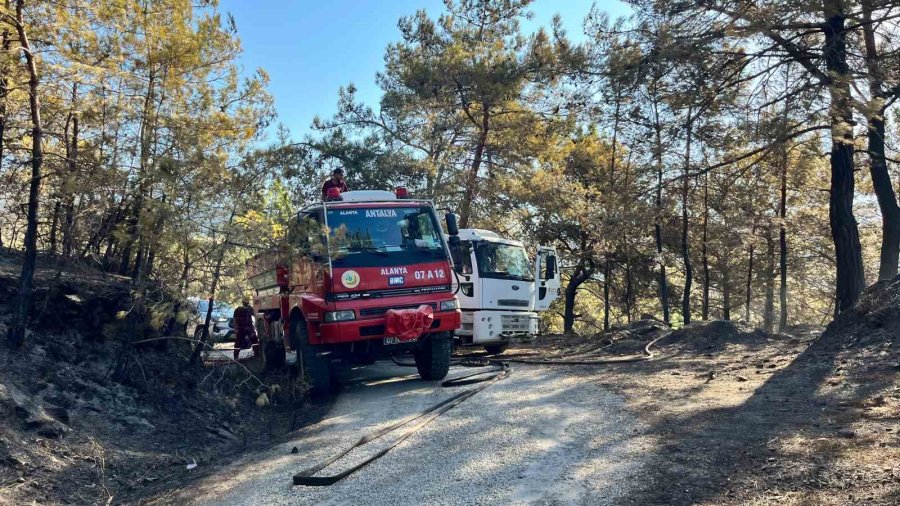 Alanya’da Orman Yangını Muz Seralarına Sıçradı: 17 Hektarlık Alan Zarar Gördü