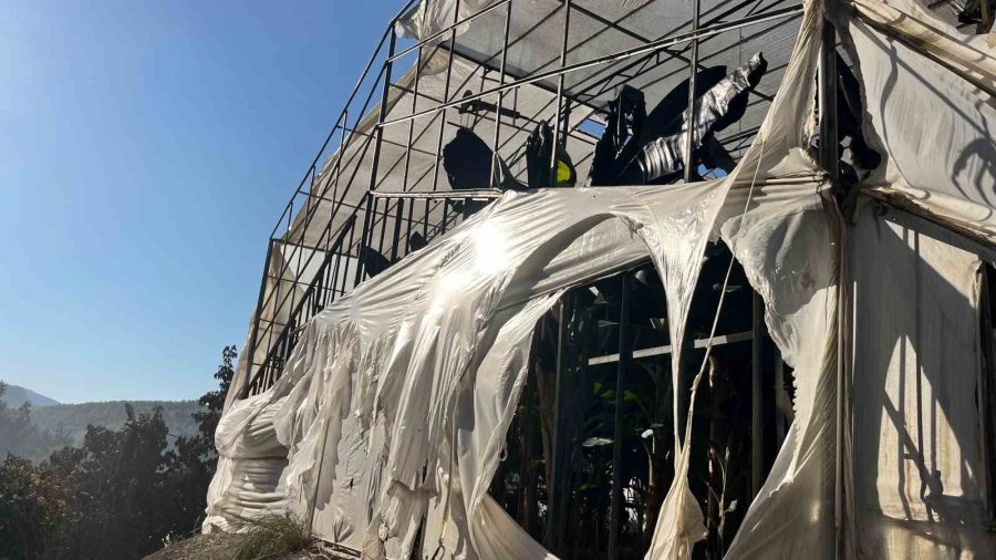 Alanya’da Orman Yangını Muz Seralarına Sıçradı: 17 Hektarlık Alan Zarar Gördü