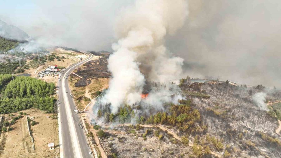 Antalya Büyükşehir Ekipleri Orman Yangınlarını Söndürmek İçin Seferber Oldu