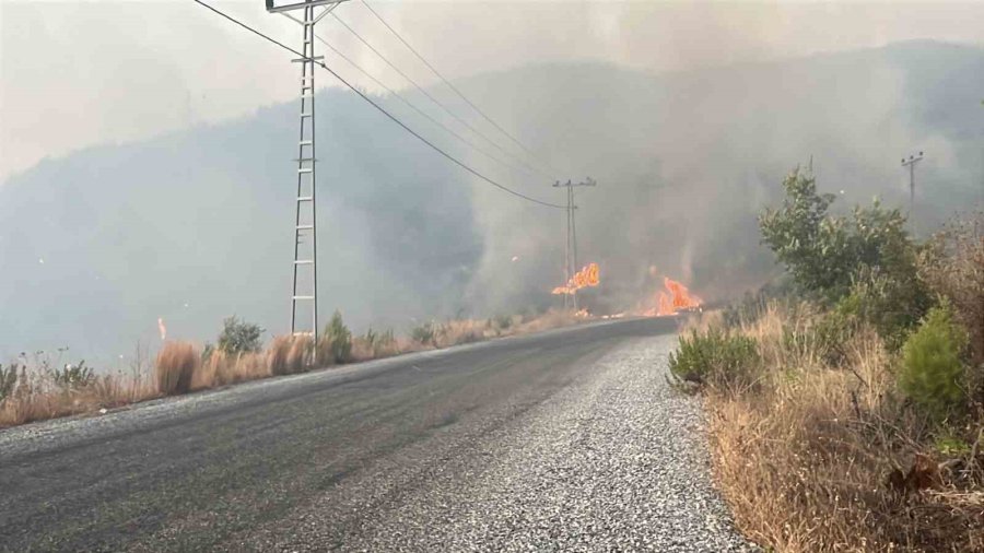 Alanya’daki Yangına 95 Araç Ve 320 Personelle Müdehale Ediliyor