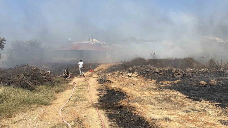 Gazipaşa’da Sera Yangını