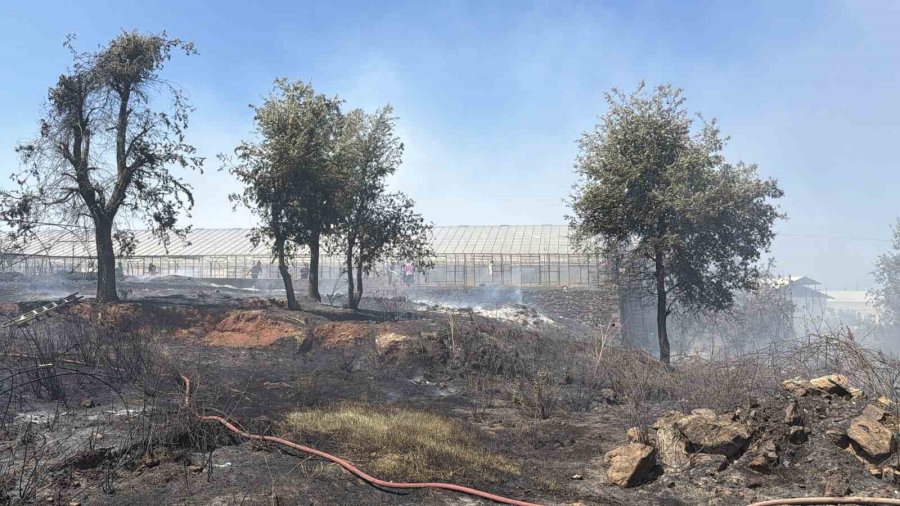 Gazipaşa’da Sera Yangını
