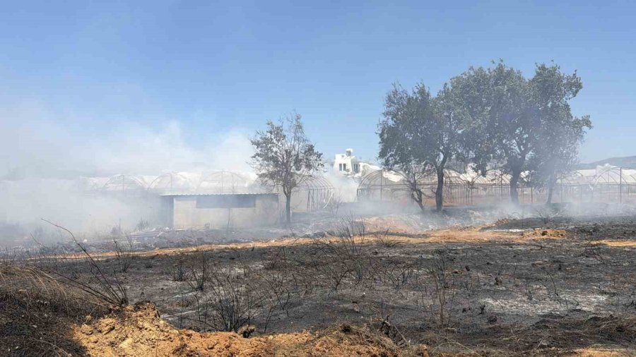 Gazipaşa’da Sera Yangını