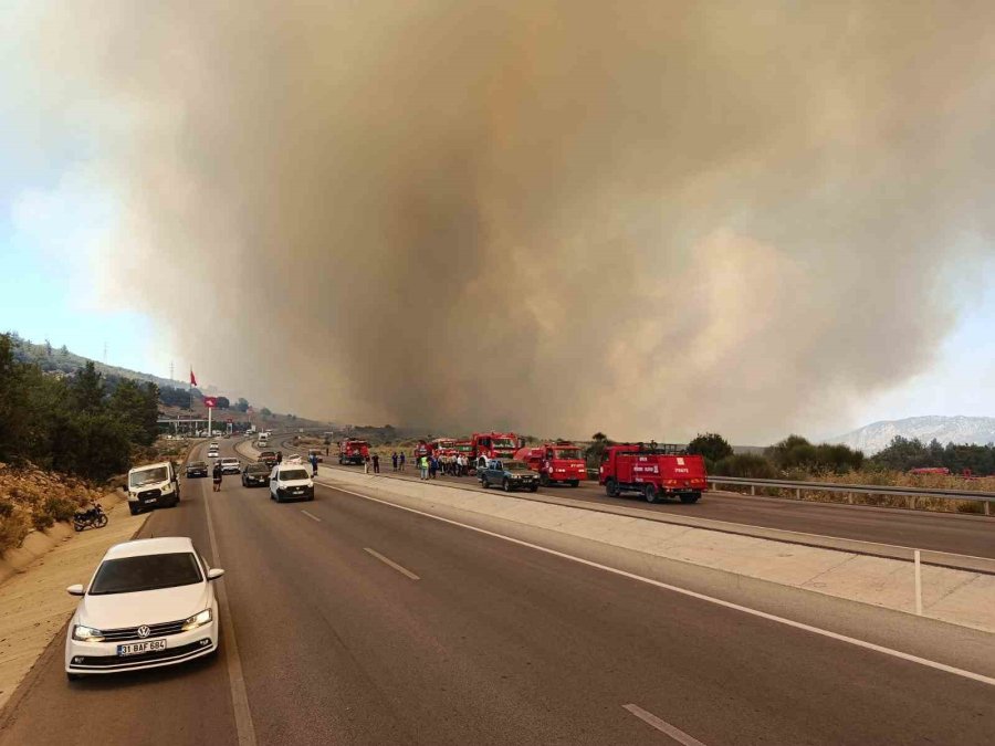 Antalya’da Orman Yangını