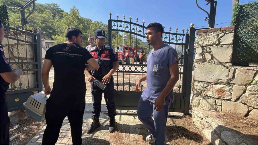 Kumluca’daki Orman Yangınına Ekiplerin Müdahalesi Devam Ediyor