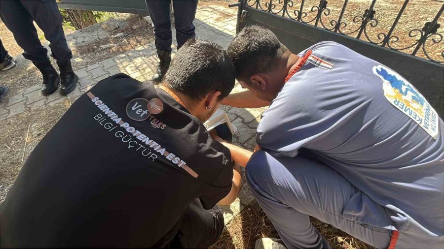 Kumluca’daki Orman Yangınına Ekiplerin Müdahalesi Devam Ediyor