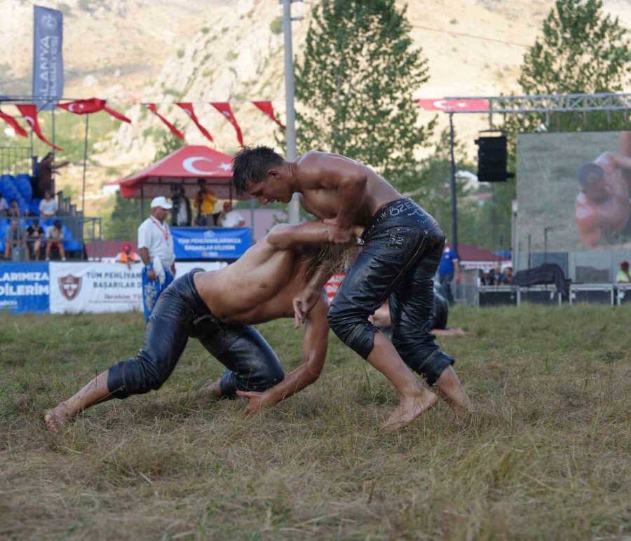 Geleneksel Gökbel Yağlı Pehlivan Güreşleri Ve Festivali 30 Temmuz’da Başlıyor