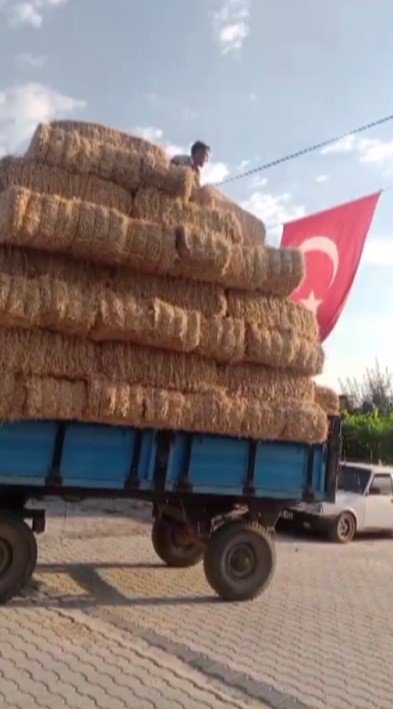 Balyalar Üzerinde Duygulandıran Bayrak Sevdası