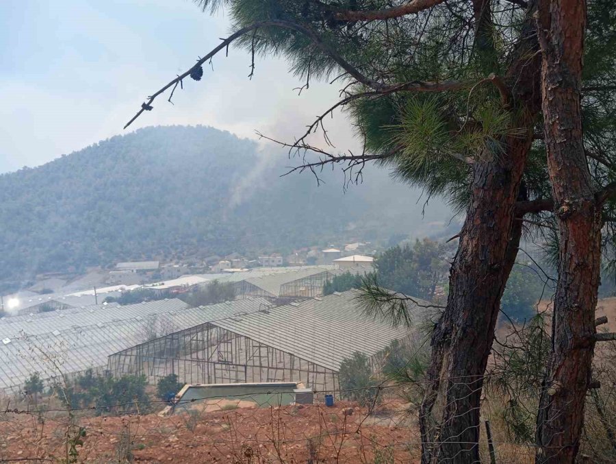 Mersin’de Alevlerin Yerleşim Yerlerine Sirayet Etmemesi İçin Ekipler Yoğun Çaba Harcıyor