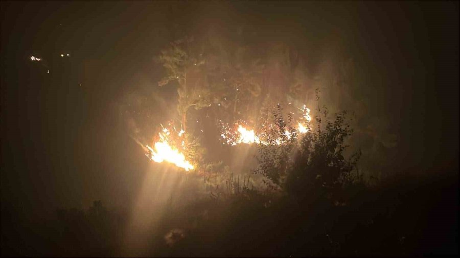 Alanya’daki Orman Yangınına Gece Saatlerinde Müdahale Sürüyor