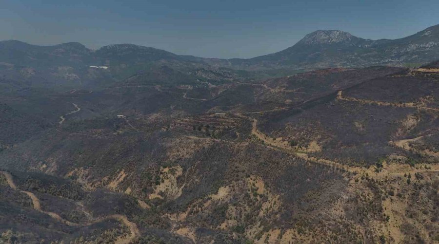 Alanya’daki Orman Yangınında Şu Ana Kadar 305 Dekar Alan Etkilendi