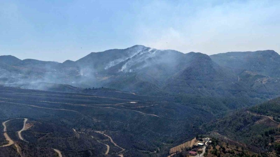 Alanya’daki Orman Yangınında Şu Ana Kadar 305 Dekar Alan Etkilendi