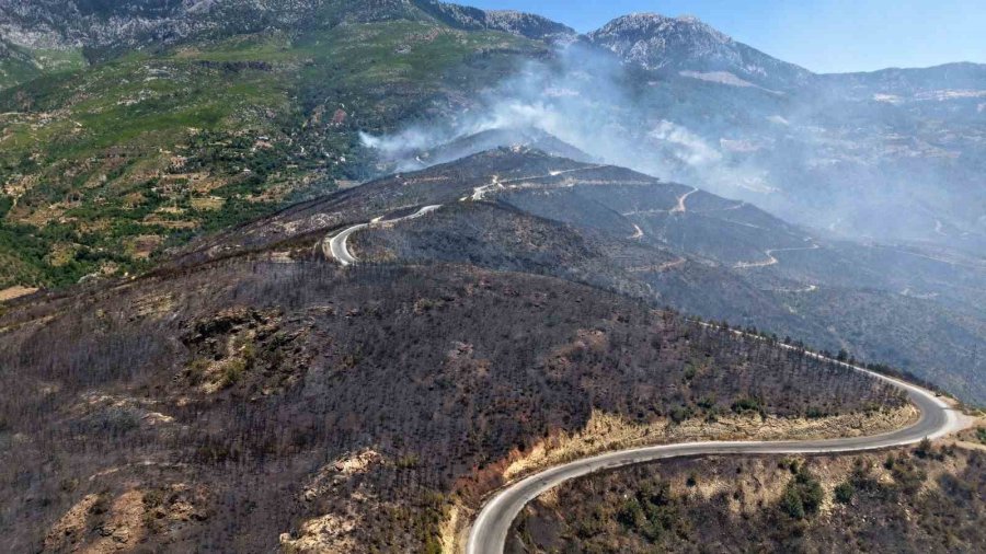 Alanya’daki Orman Yangınında Şu Ana Kadar 305 Dekar Alan Etkilendi