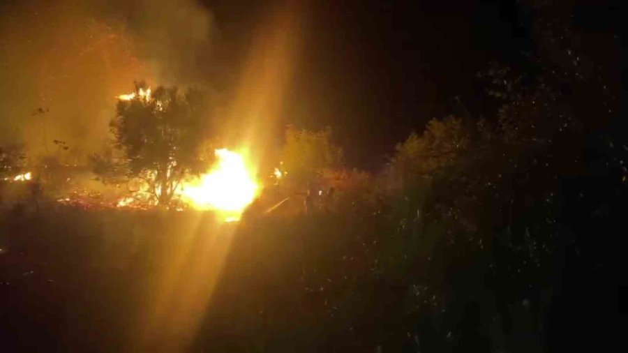 Serik’te Çıkan Orman Yangınına İlk Müdahaleyi Vatandaşlar Yaptı