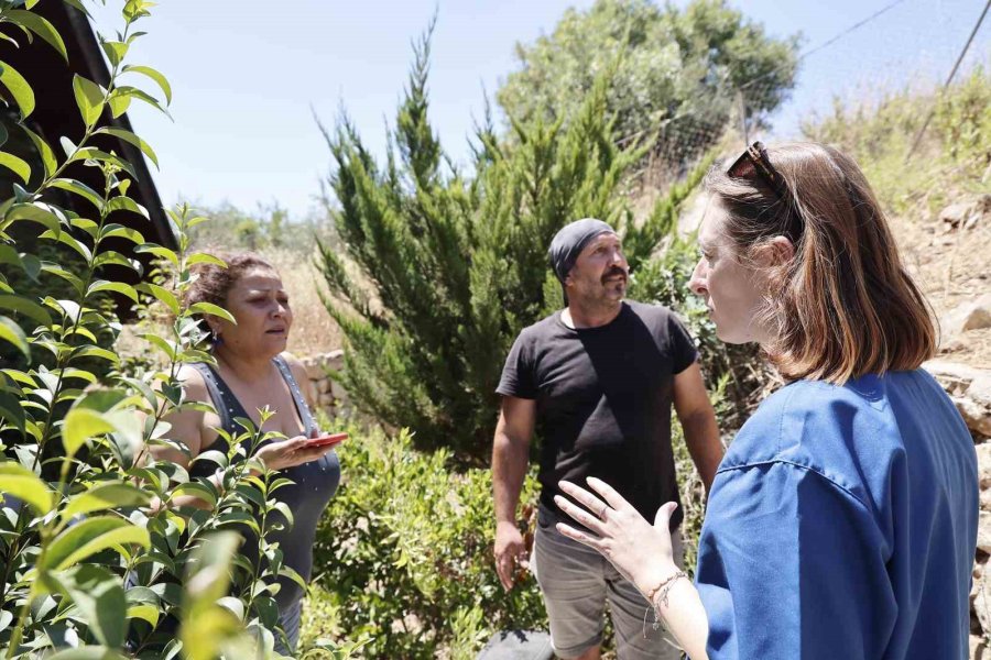 Kumluca’da Yangından Etkilenen Hayvanlara Yerinde Müdahale