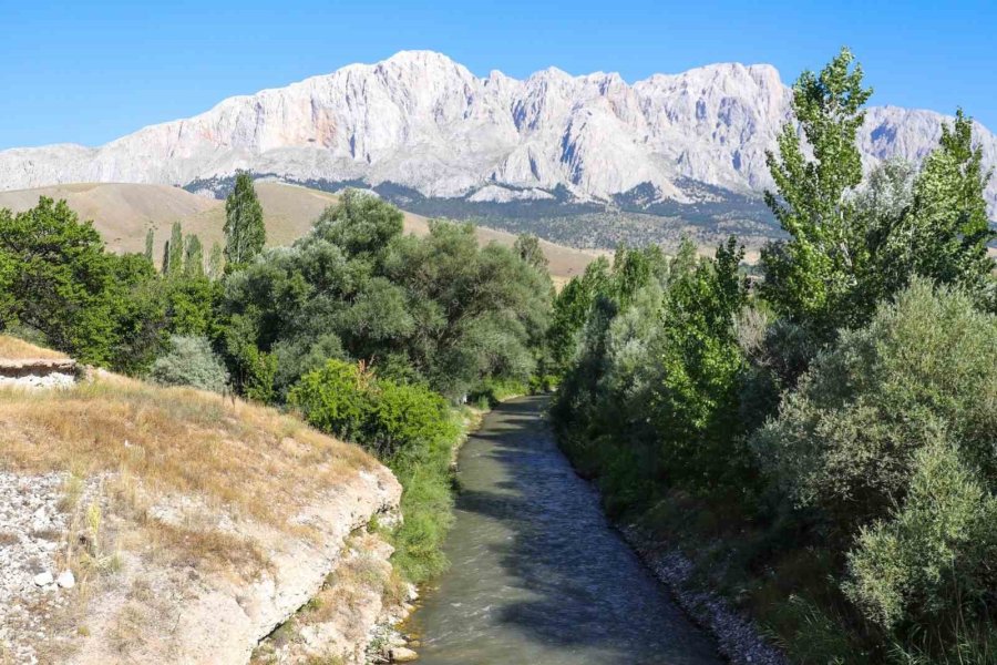Ecemiş Çayı’na 15 Bin Alabalık Yavrusu Bırakıldı