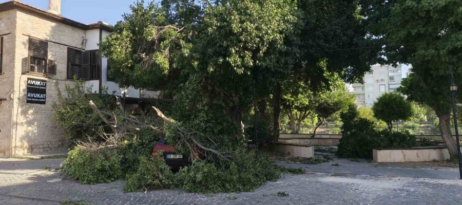 Fırtına Ağaçları Araçların Üzerine Devirdi, Tekneyi Kıyıya Vurdu