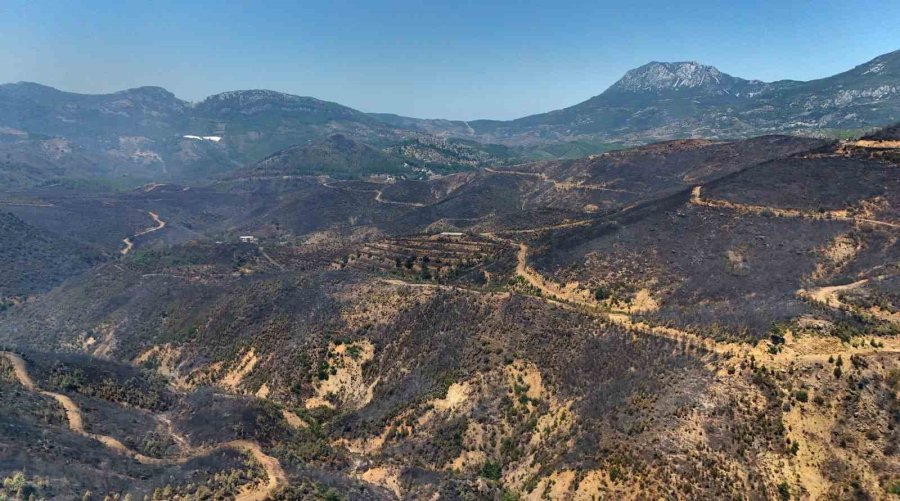 Alanya’daki Orman Yangınında Mücadele İkinci Gününde: Bölge Dron İle Görüntülendi