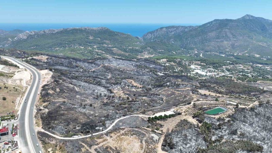 Kumluca’da Yangından Etkilenen Hayvanlara Yerinde Müdahale