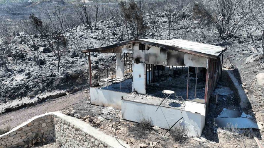 Kumluca’da Yangından Etkilenen Hayvanlara Yerinde Müdahale