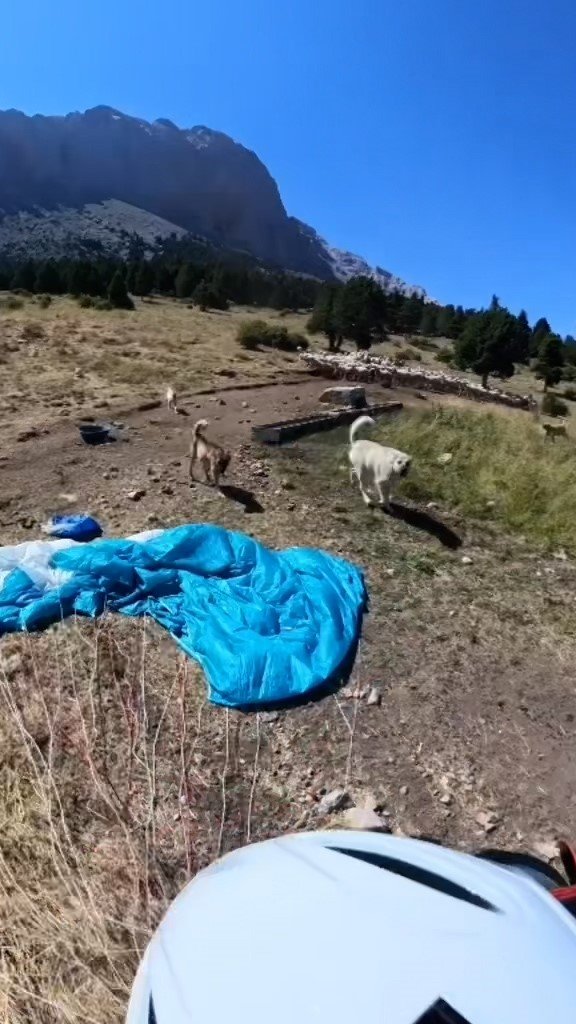Aladağlar’da Base Jump Sporcusuna Çoban Köpekleri Saldırdı