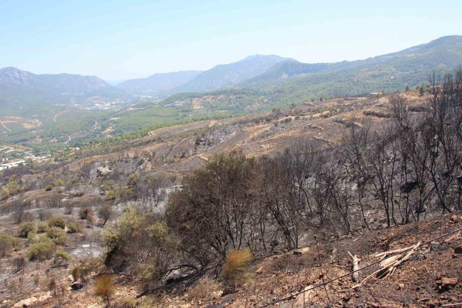 Emekli İtfaiyeci, Yılların Tecrübesiyle Evini Alevlere Teslim Etmedi