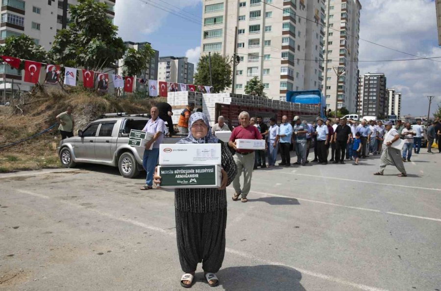 Mersin’de Üreticiye Feromon Tuzak Ve Makine Ekipmanı Desteği