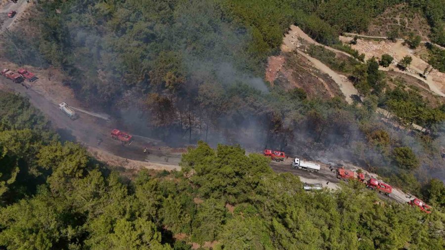 Alanya’da Orman Yangını 3 Saatte Kontrol Altına Alındı