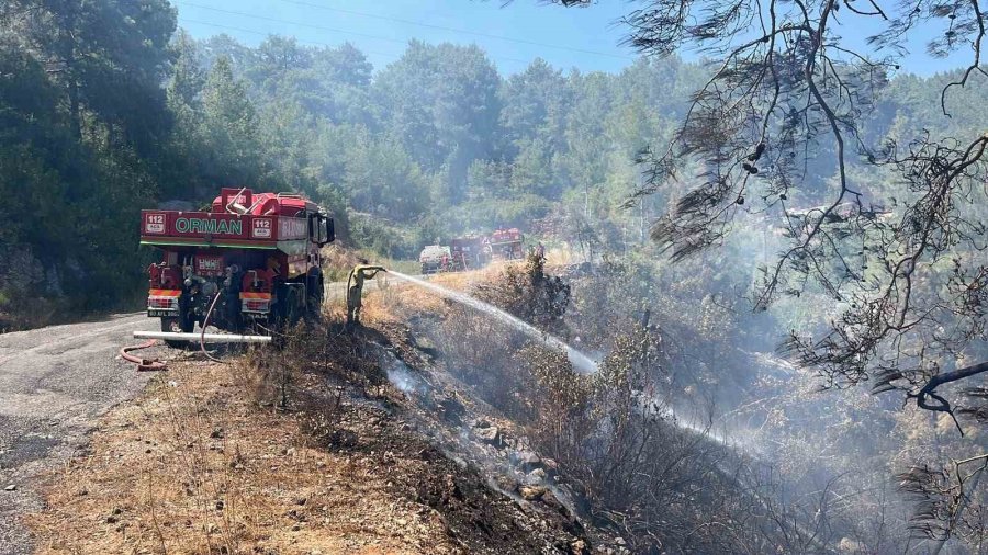 Alanya’da Orman Yangını 3 Saatte Kontrol Altına Alındı