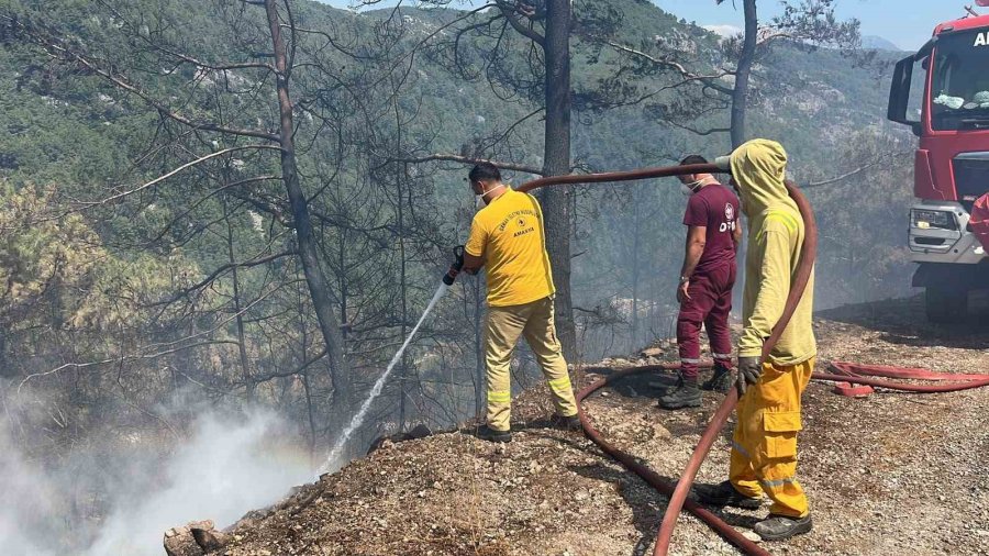 Alanya’da Orman Yangını 3 Saatte Kontrol Altına Alındı
