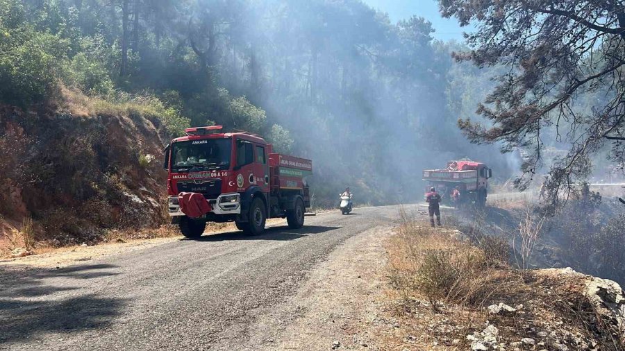 Alanya’da Orman Yangını 3 Saatte Kontrol Altına Alındı