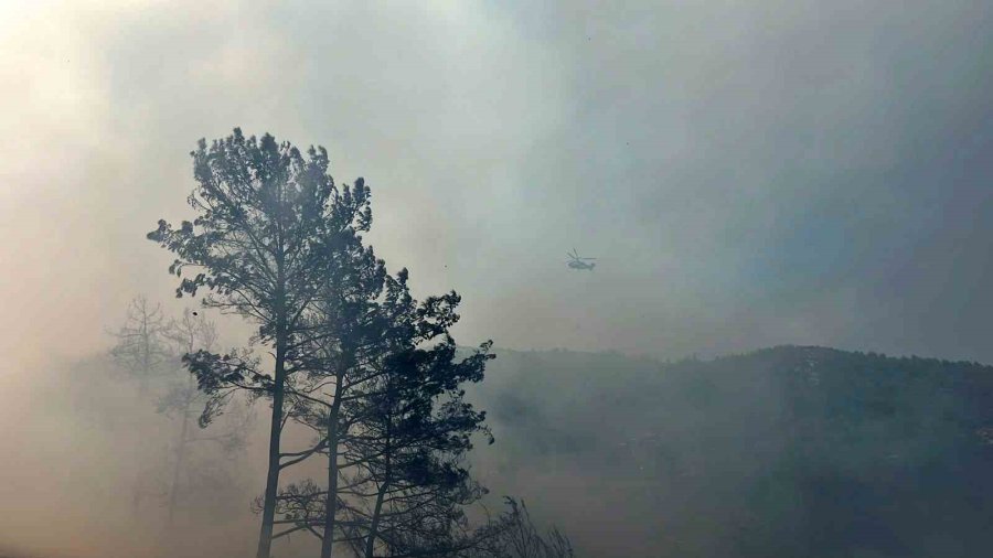 Alanya’da Orman Yangını 3 Saatte Kontrol Altına Alındı
