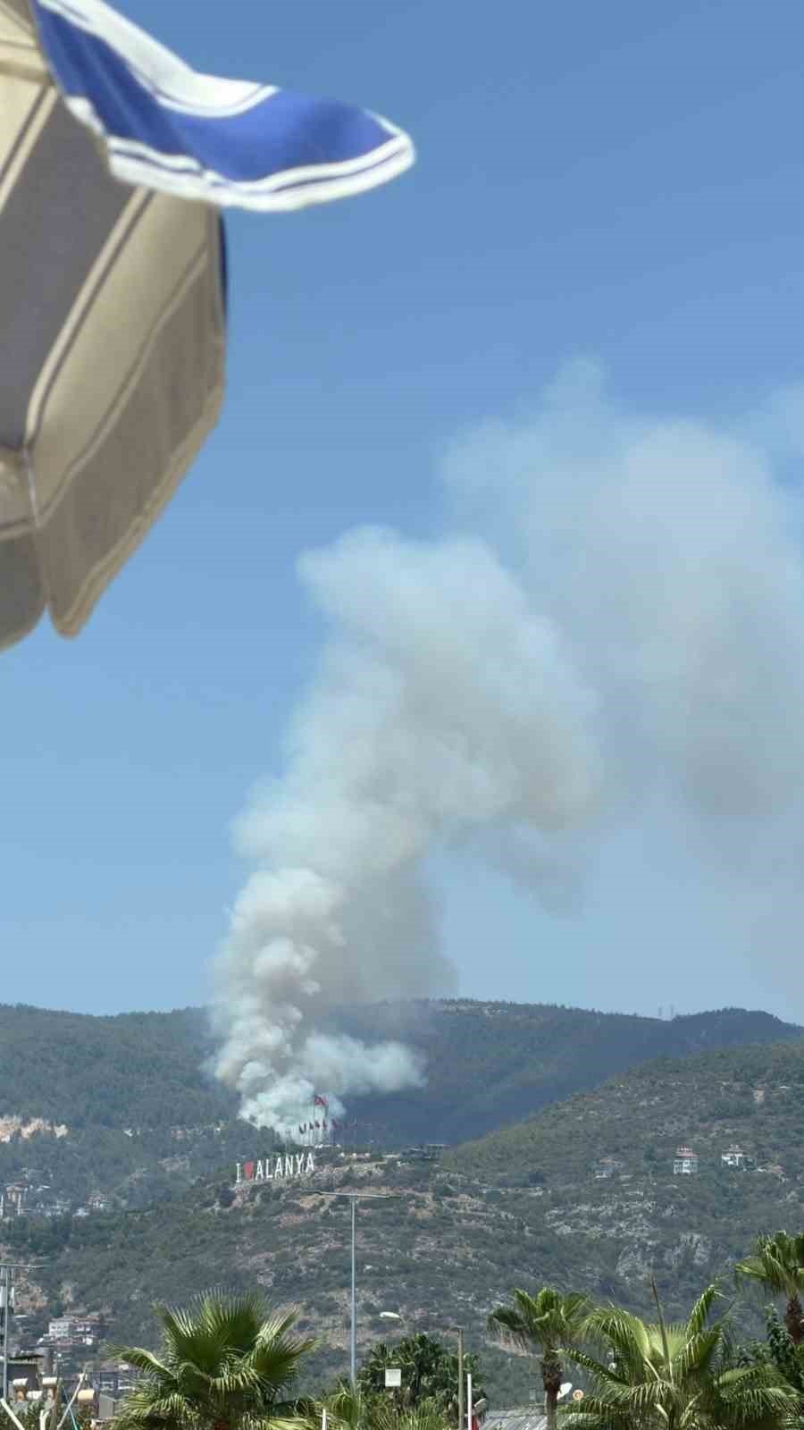 Alanya’da Orman Yangını