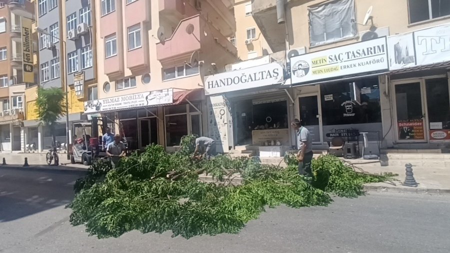 Fırtınanın Devirdiği Ağaç Nedeniyle Yol Trafiğe Kapatıldı