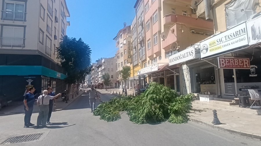 Fırtınanın Devirdiği Ağaç Nedeniyle Yol Trafiğe Kapatıldı