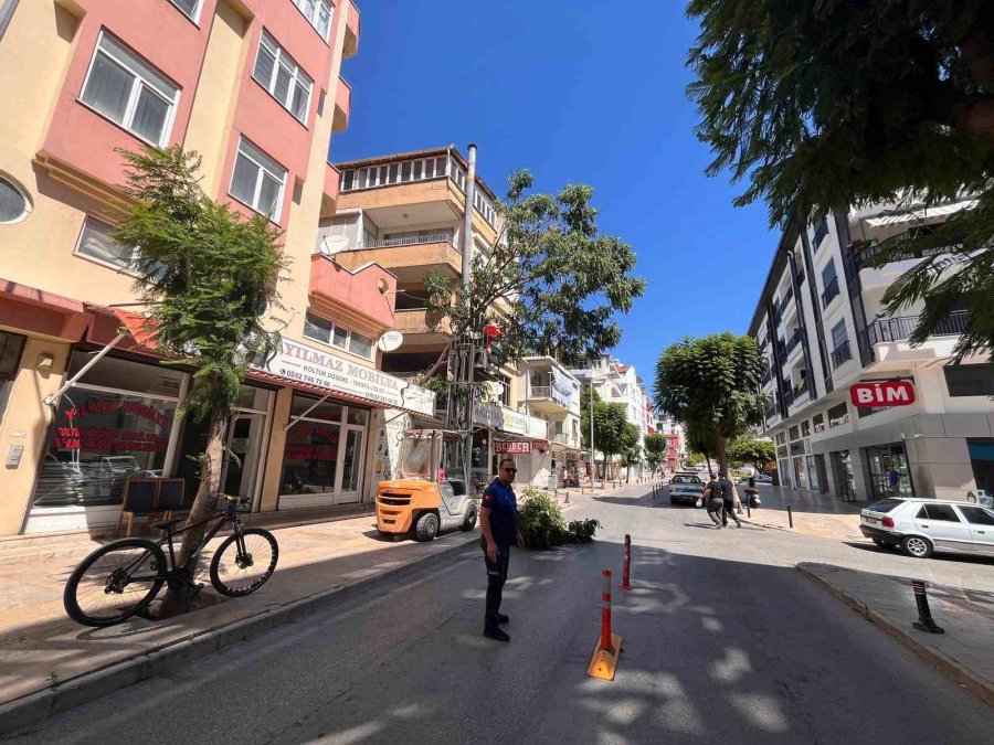 Fırtınanın Devirdiği Ağaç Nedeniyle Yol Trafiğe Kapatıldı
