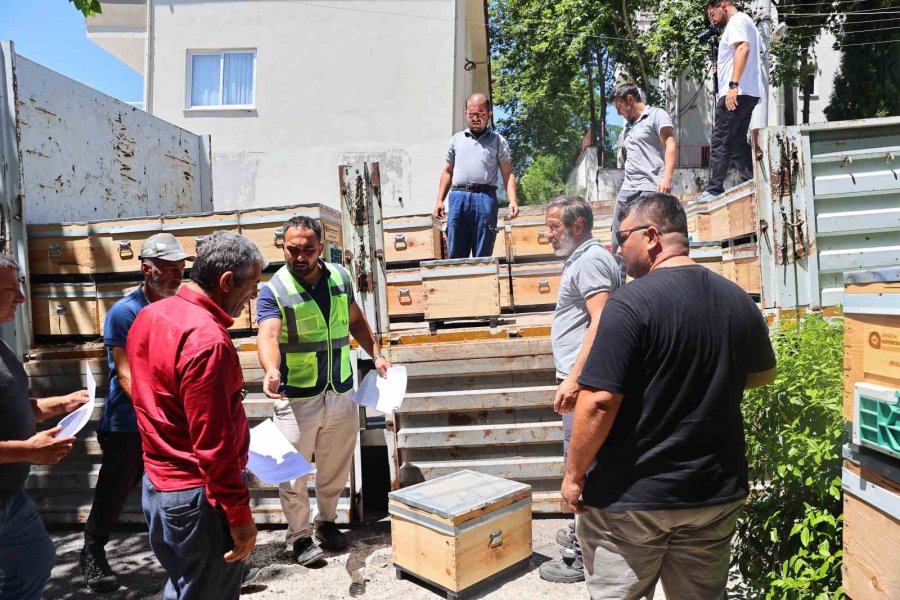 Büyükşehir’den Gündoğmuş Ve İbradılı Arıcılara Bereket Kovanı
