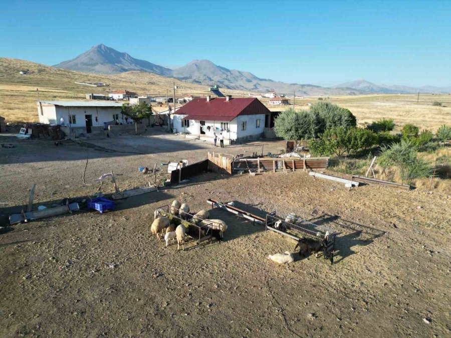 Niğde’de Hayvancılık Yapan Aileler, Evlerine Elektrik İstiyor