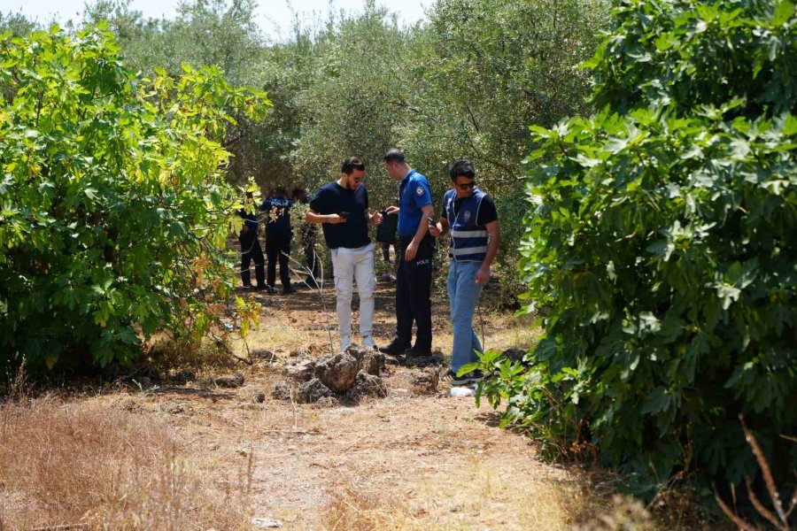 Antalya’da 25 Yaşındaki Genç Ağaçlık Alanda Elleri Arkadan Bağlı Halde Ölü Bulundu