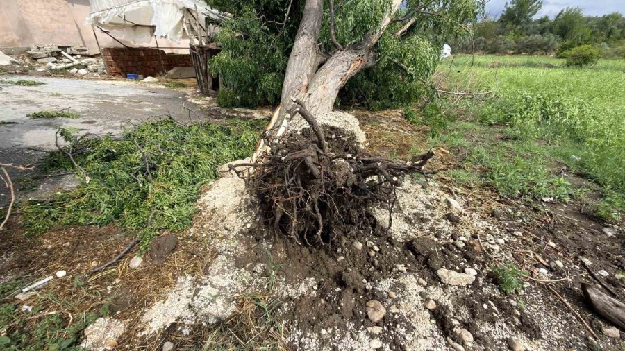 Antalya’da Hortumun Evsiz Bıraktığı Aile Korkudan Eve Giremiyor Bahçede Yaşıyor