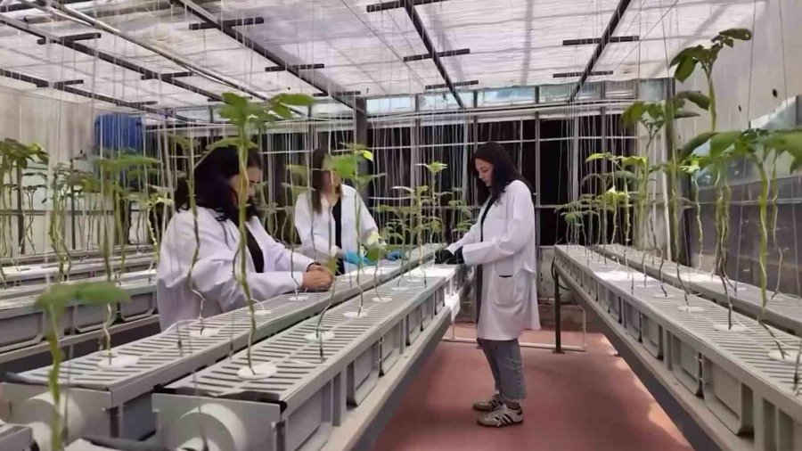 Nöhü’de Tarımın Geleceği Teknolojiyle Şekilleniyor