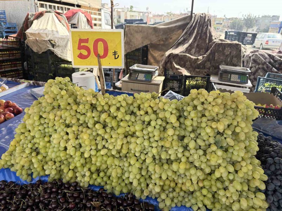 Yüksek Rekolte Üzüm Fiyatlarını Düşürdü